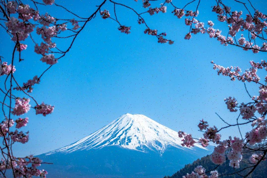Galata bridge evening